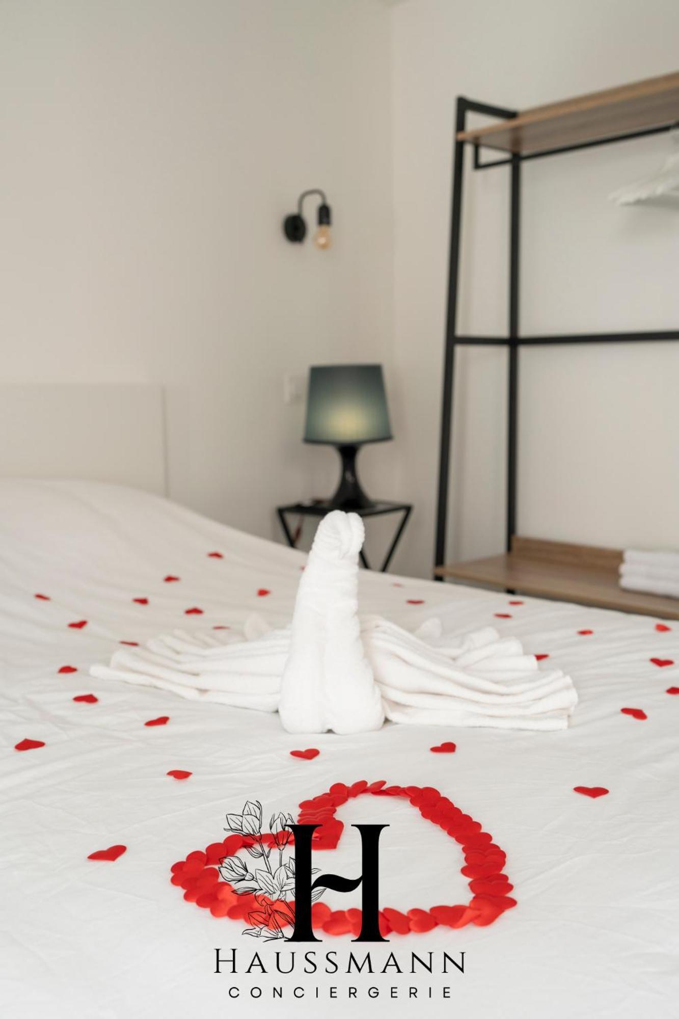 Magnifique Luxe Jacuzzi Centre Appartement